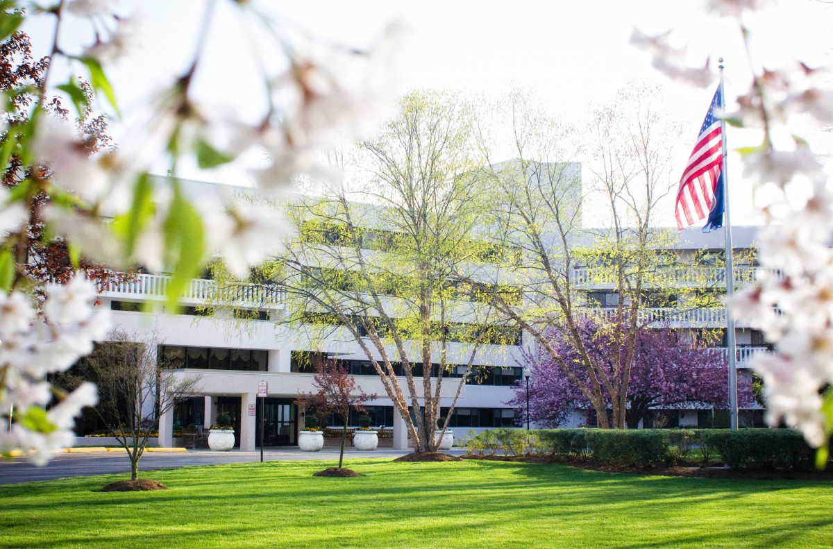 A modern office building surrounded by blossoming trees and lush green grass.
