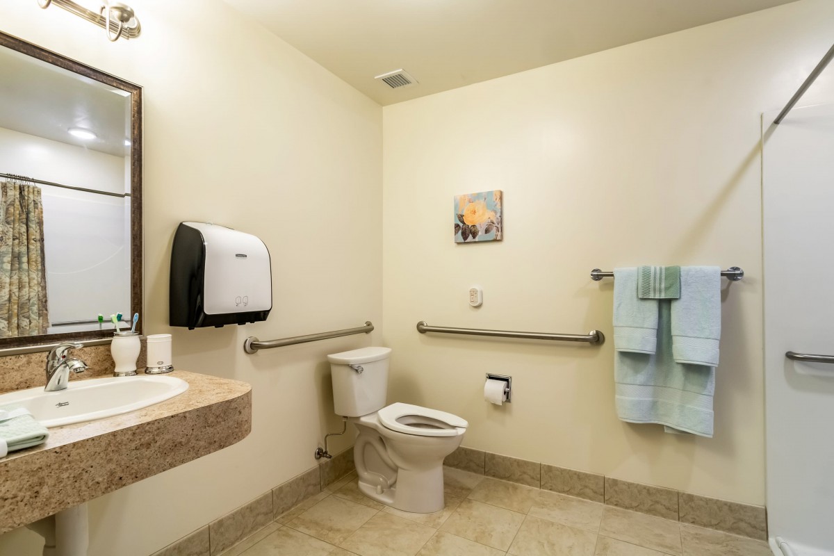 An accessible bathroom equipped with handrails, a toilet, sink, and towel dispenser.