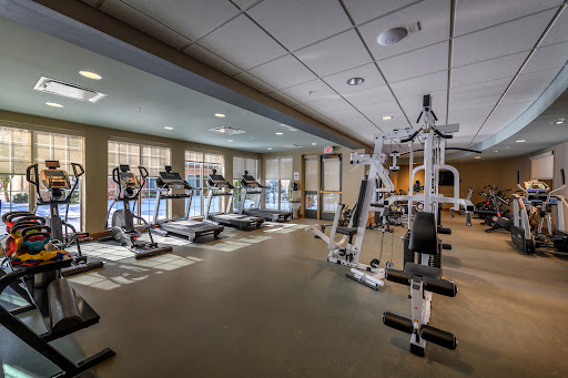 A well-equipped gym featuring treadmills and weight training machines.