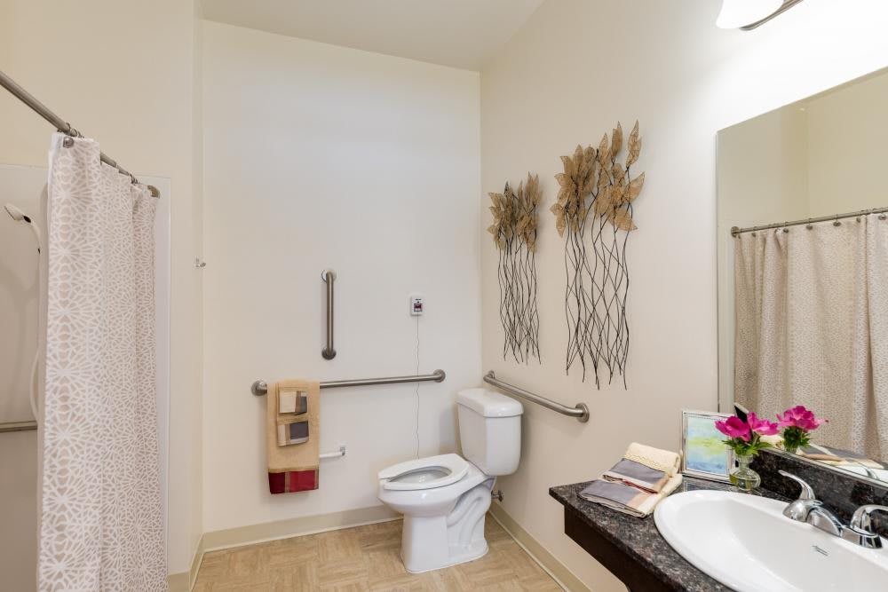 A well-decorated bathroom with accessibility features like grab bars, adorned with artistic wall decor and neatly arranged towels.