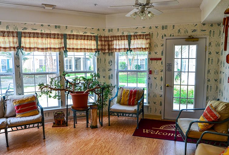 A cozy living area with potted plants, chairs, and large windows letting in natural light.