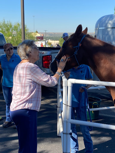 A woman gently petting a horse while others look on in a sunny outdoor setting.