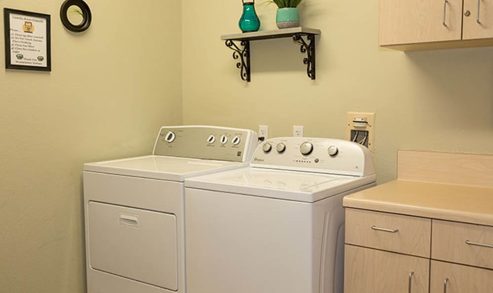 A tidy laundry room with a washer, dryer, and decorative shelf.