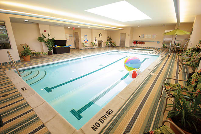 An indoor swimming pool with a colorful beach ball and a 'No Diving' sign, surrounded by potted plants.
