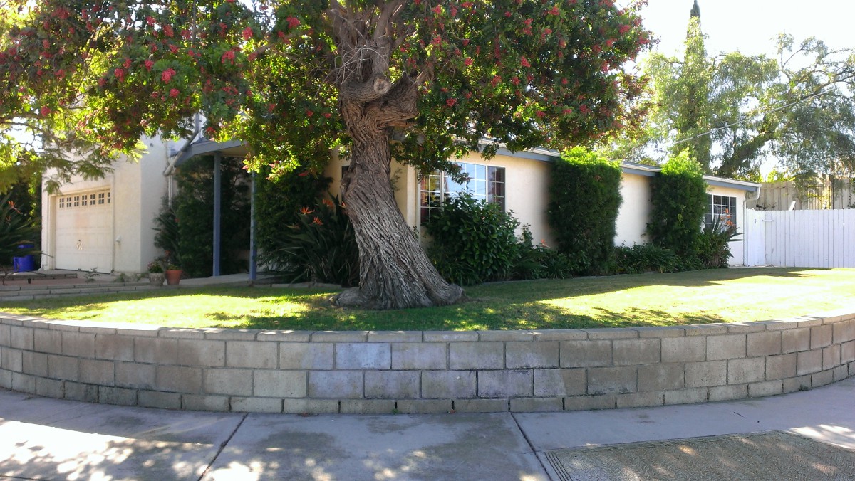 A residential house with a large tree in the front yard, surrounded by greenery and a brick wall.