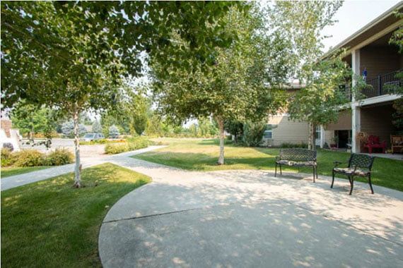 A sunny park with a winding pathway and benches surrounded by lush greenery.