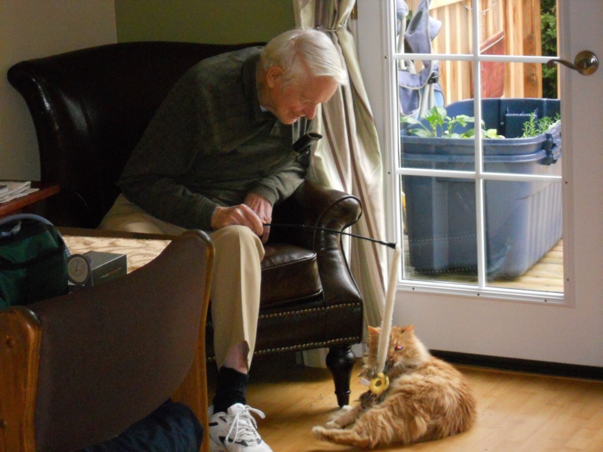 Young at Heart