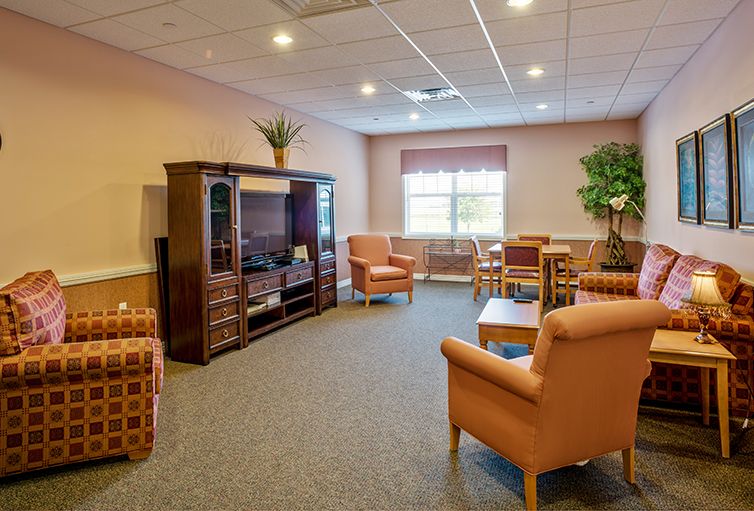 A cozy living room with comfortable armchairs, a television, and natural lighting.