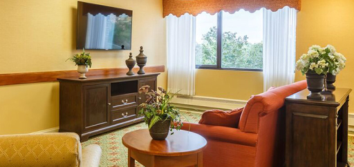 A cozy living room featuring an orange sofa, wooden furniture, and a television, with natural light coming through the window.