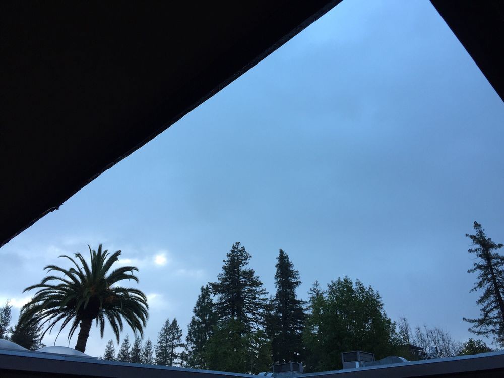 A cloudy sky with trees and a palm tree in the foreground.