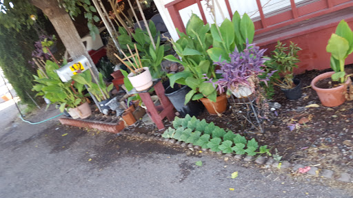 La Casita