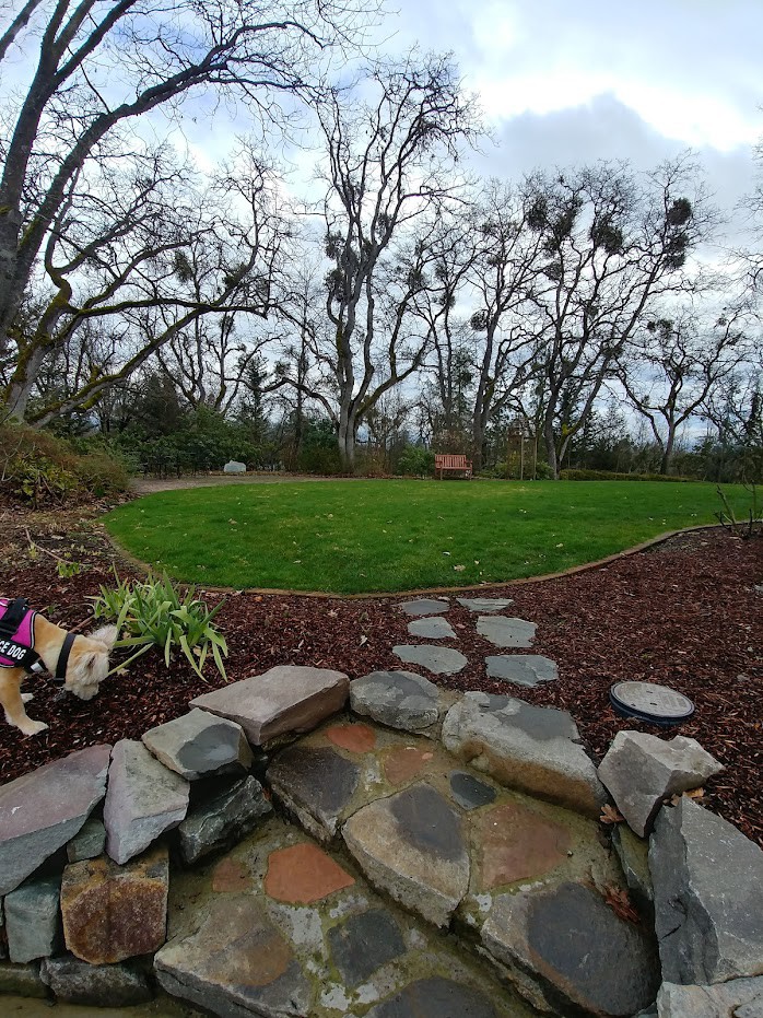 Celia's House In Holmes Park
