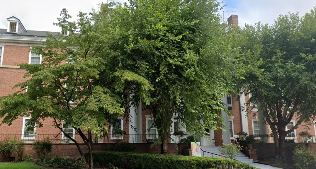 A residential brick house partially obscured by lush greenery and trees.
