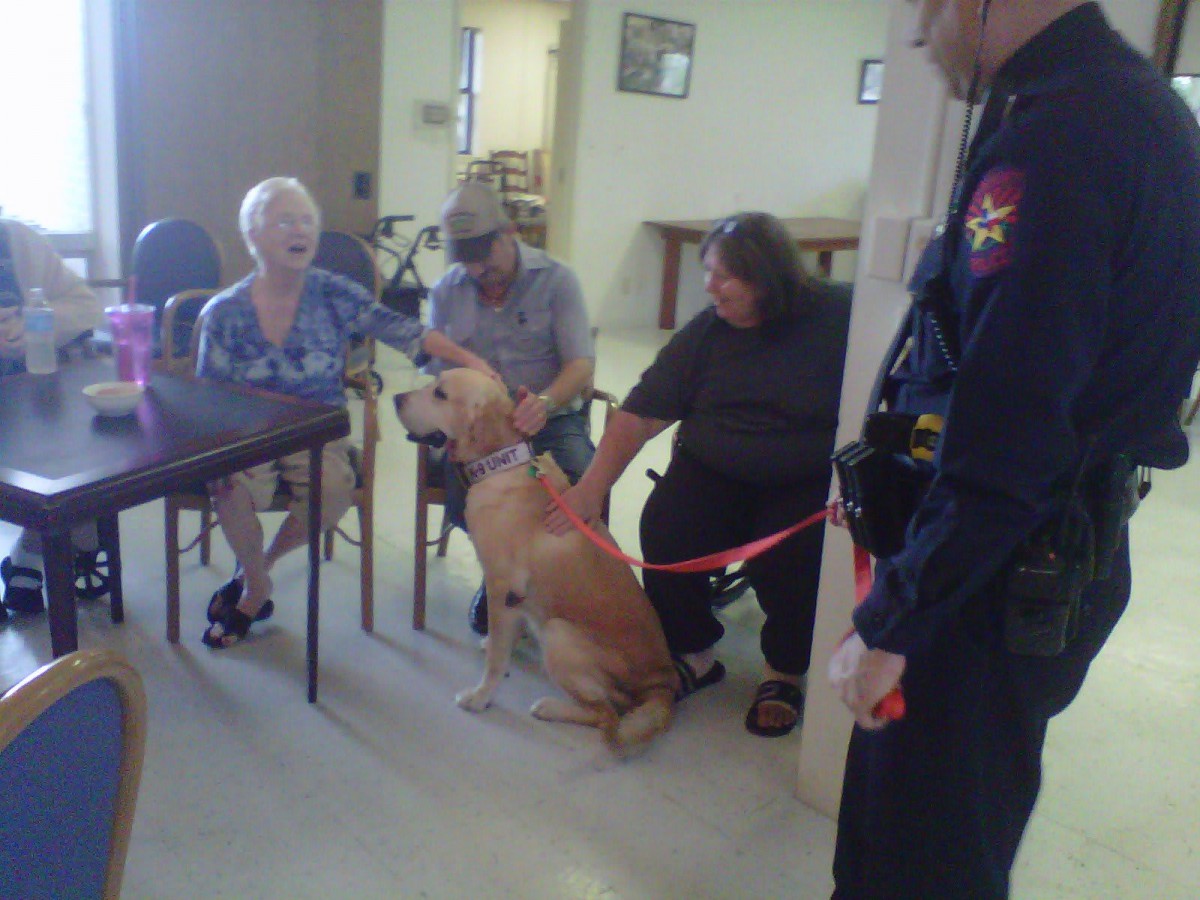 A group of people sitting indoors, interacting with a friendly dog.