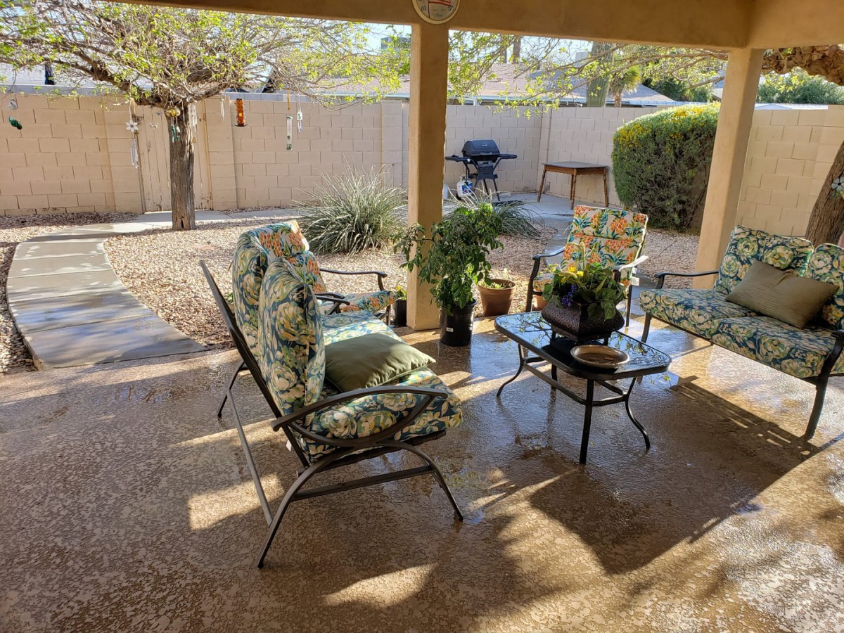 A sunny patio with comfortable seating and plants creating a relaxing outdoor space.