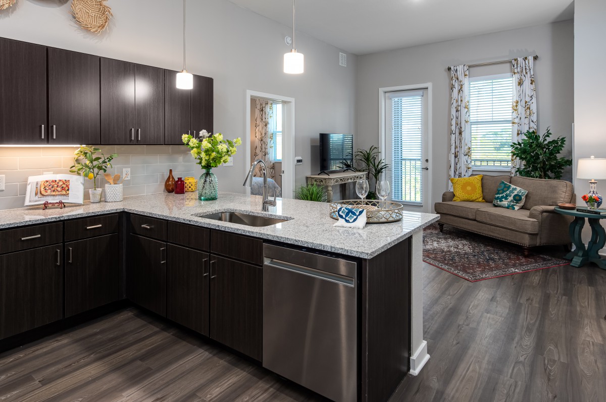 A modern open floor plan featuring a kitchen with dark cabinets and a bright living room.