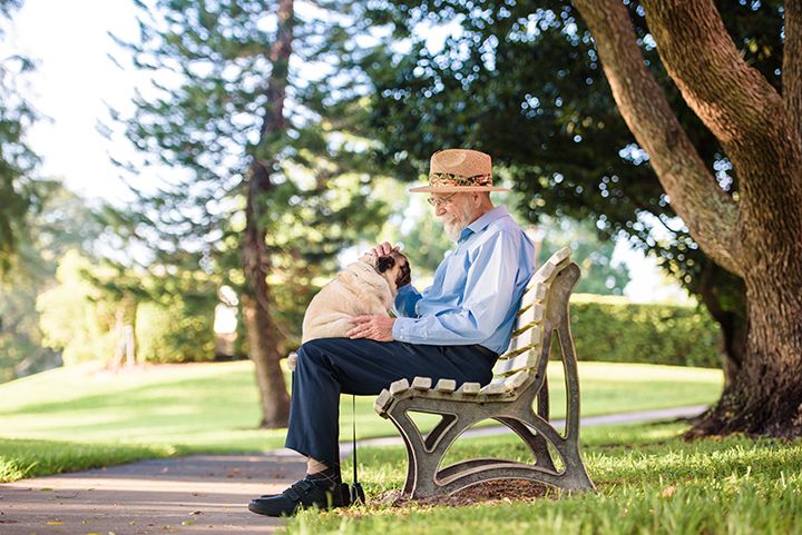 An elderly man sitting on a bench in the park, enjoying a peaceful moment with his dog.