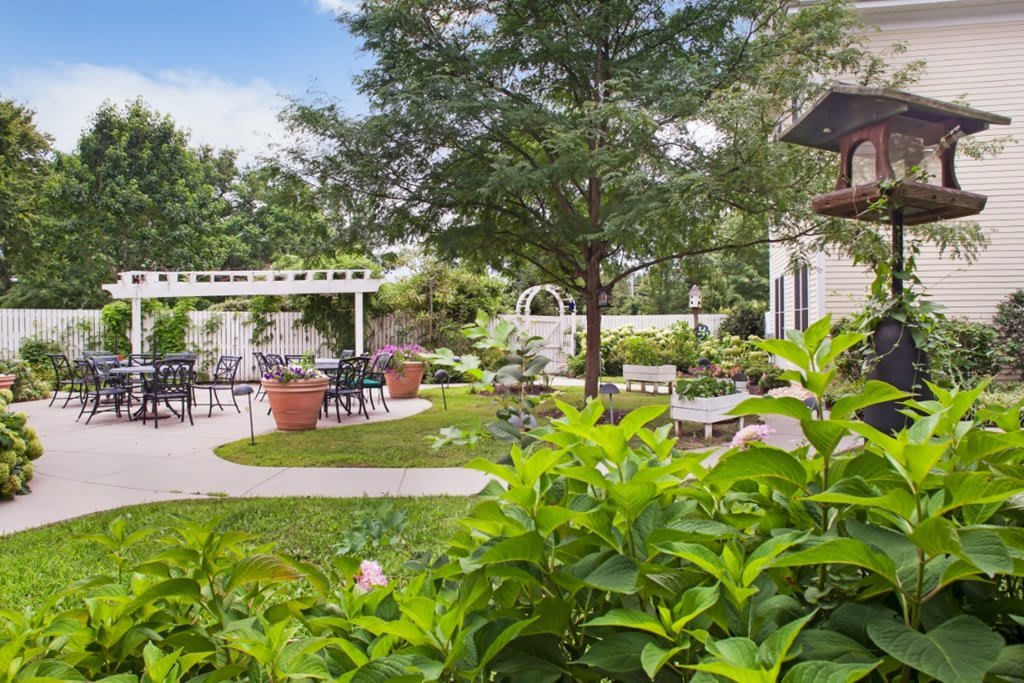 A serene garden with lush greenery, featuring a pergola and outdoor seating.