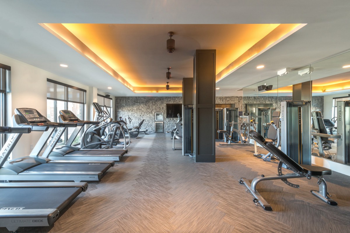 A modern gym equipped with treadmills, strength machines, and a variety of exercise equipment.
