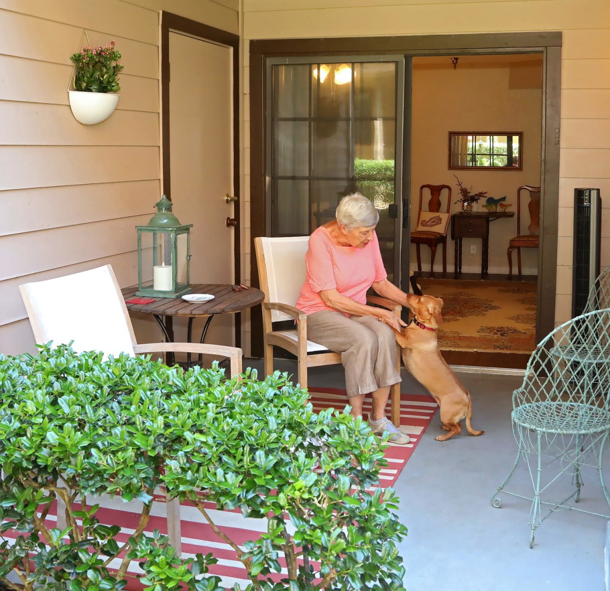 An elderly woman sitting on a patio playing with her dog, surrounded by outdoor furniture and plants.