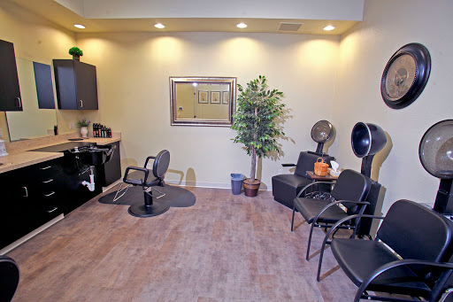 A cozy and well-lit hair salon featuring styling chairs, a waiting area, and decorative plants.