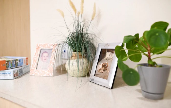 A stylish tabletop arrangement featuring framed photos and decorative plants.