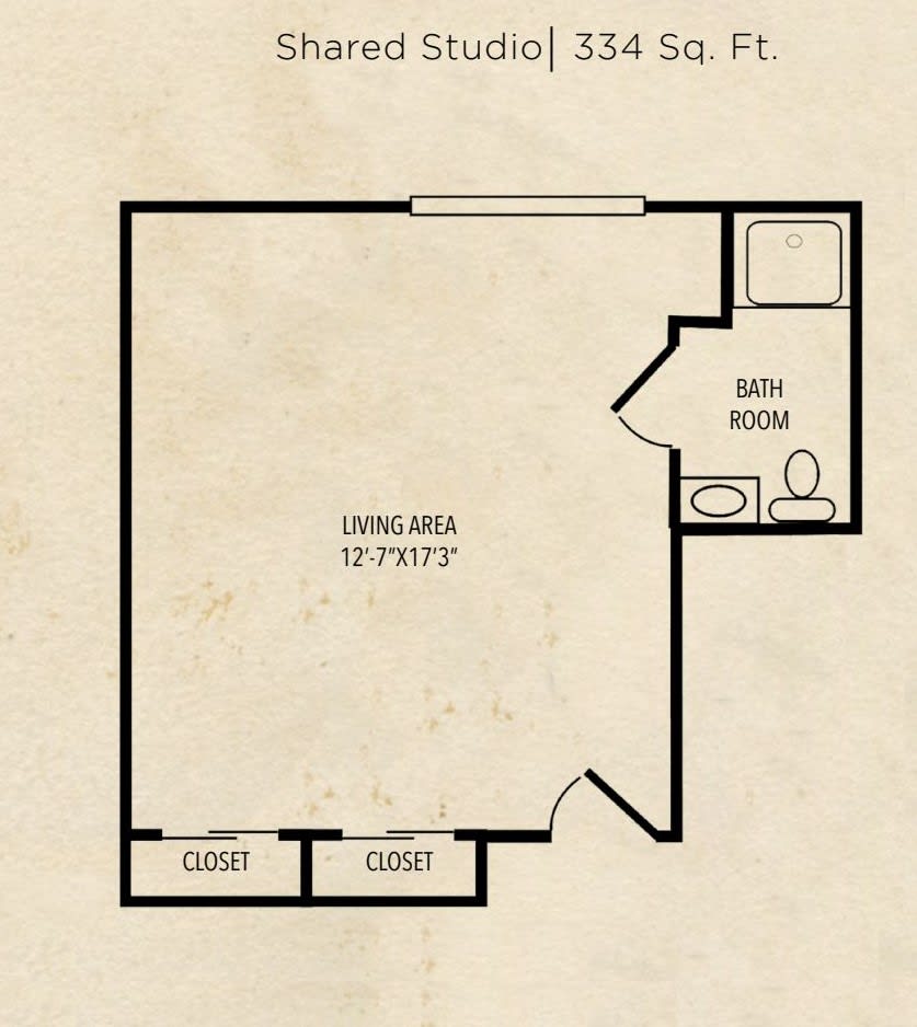 Studio apartment floor plan with a living area and bathroom.