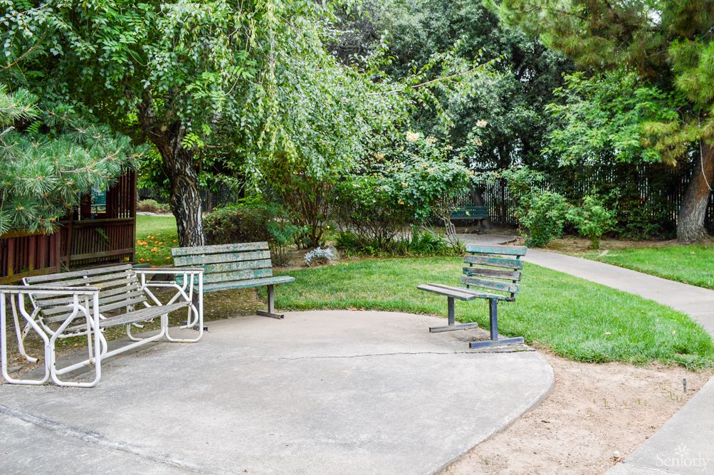 A tranquil park setting with benches surrounded by lush greenery and trees.