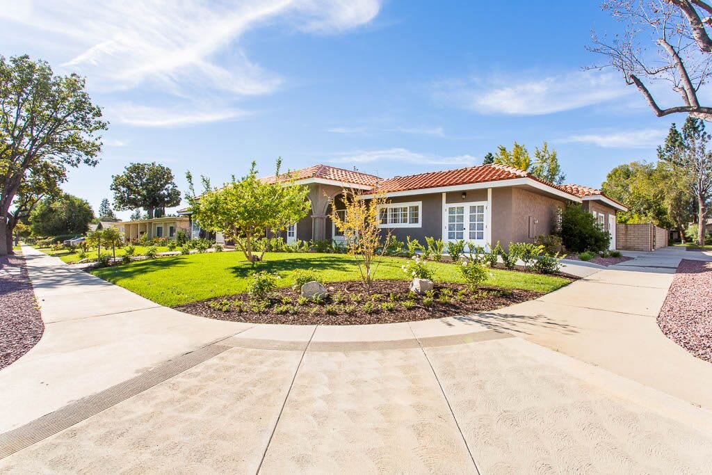 A suburban house with a landscaped garden and a curved driveway under a clear blue sky.