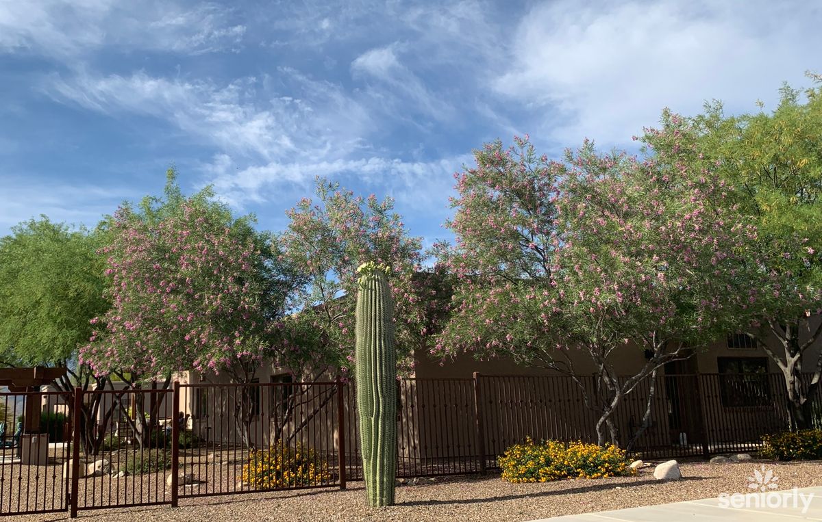 A desert home surrounded by trees and a tall cactus under a partly cloudy sky.
