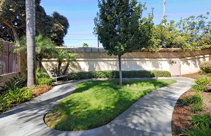 A neatly landscaped garden with a central tree, surrounding grass, and a curved sidewalk.