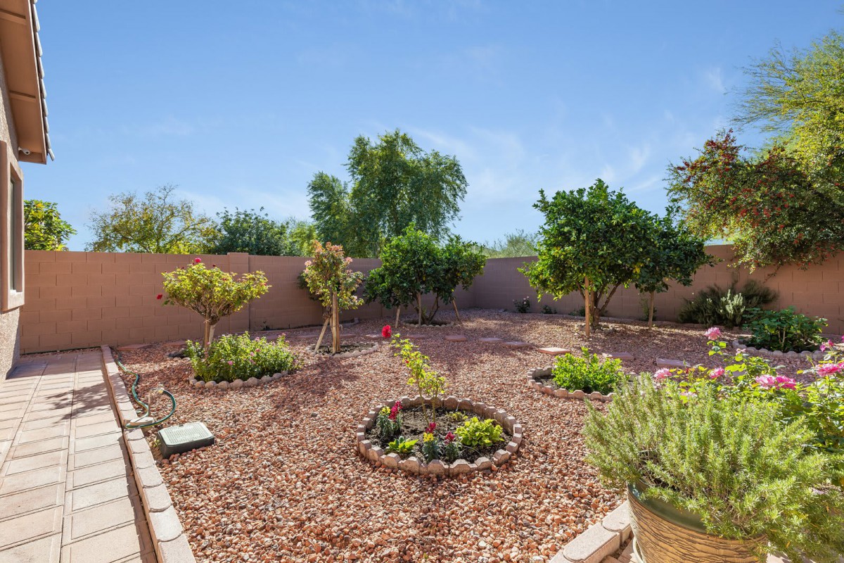 A well-maintained backyard garden with trees and plants under a clear blue sky.
