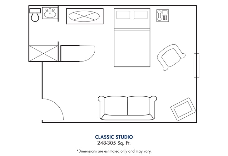 Floor plan of a classic studio apartment with designated areas for living and sleeping.
