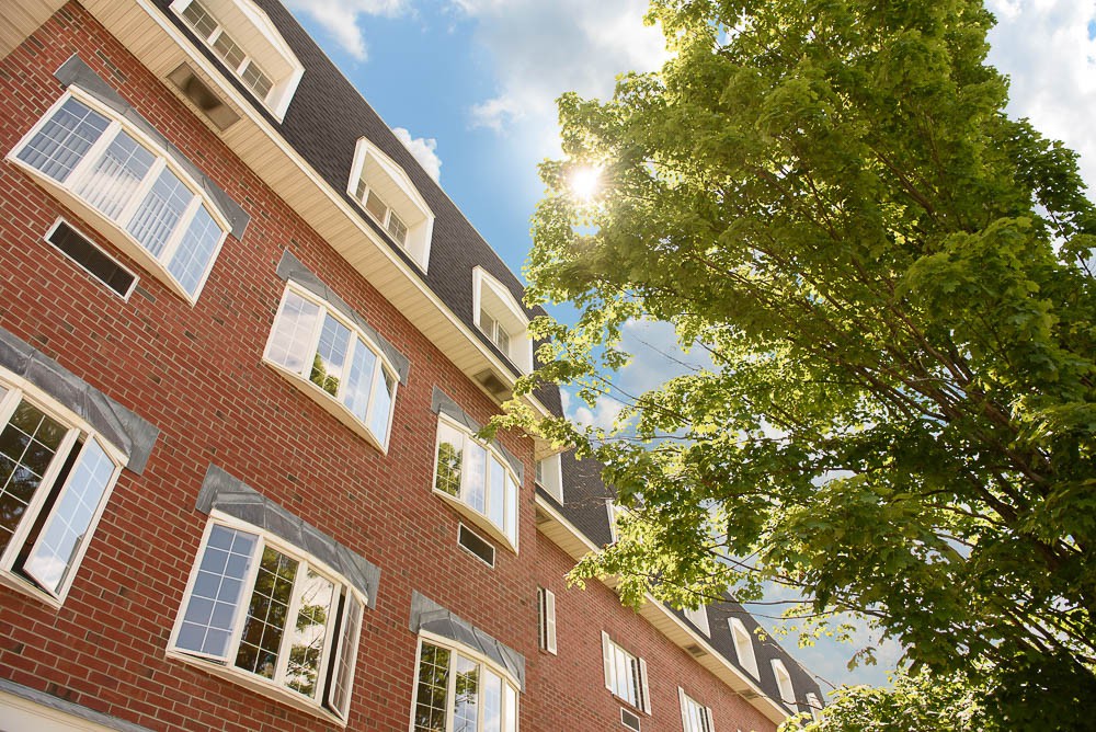 A brick building with numerous windows, surrounded by trees and basking in sunlight under a clear blue sky.