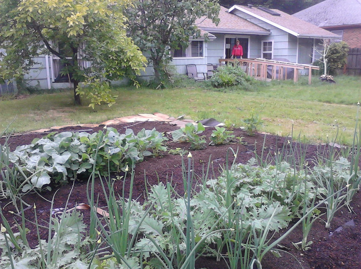Hummingbird Holistic Care Home,  LLC