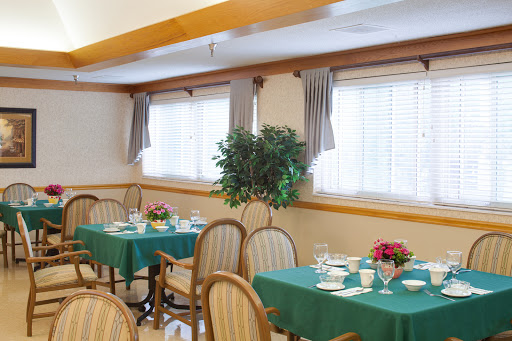 A cozy dining area featuring green tables, wooden chairs, and decorative plants.