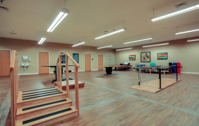 The Springs Skilled Nursing And Therapy