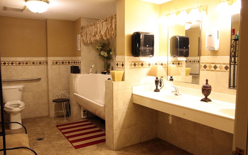 A well-lit bathroom featuring a large vanity with a mirror, a bathtub, and decorative elements.