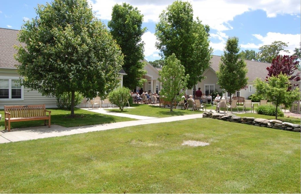 A sunny garden with a well-maintained lawn, trees, and a pathway leading to a house.