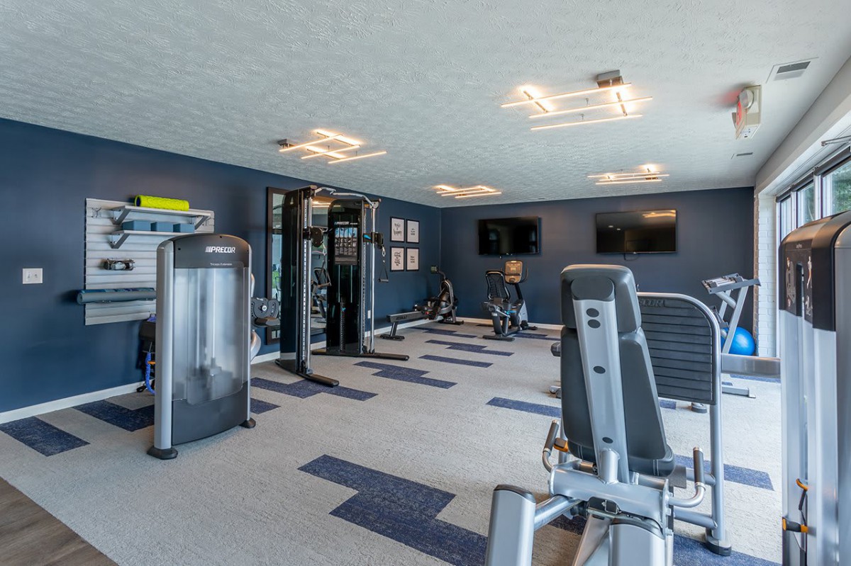 A modern gym equipped with various exercise machines and a spacious layout.