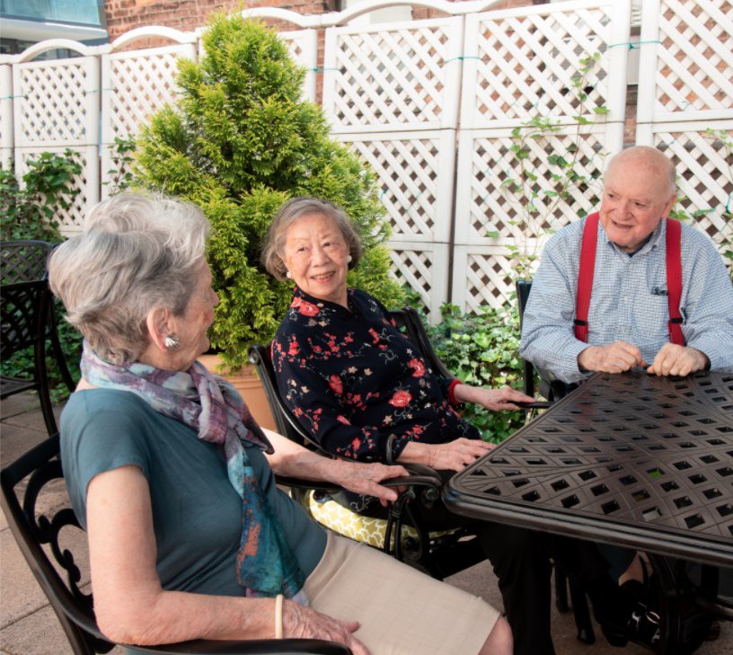 A group of elderly friends enjoying a conversation on a sunny day in the garden.