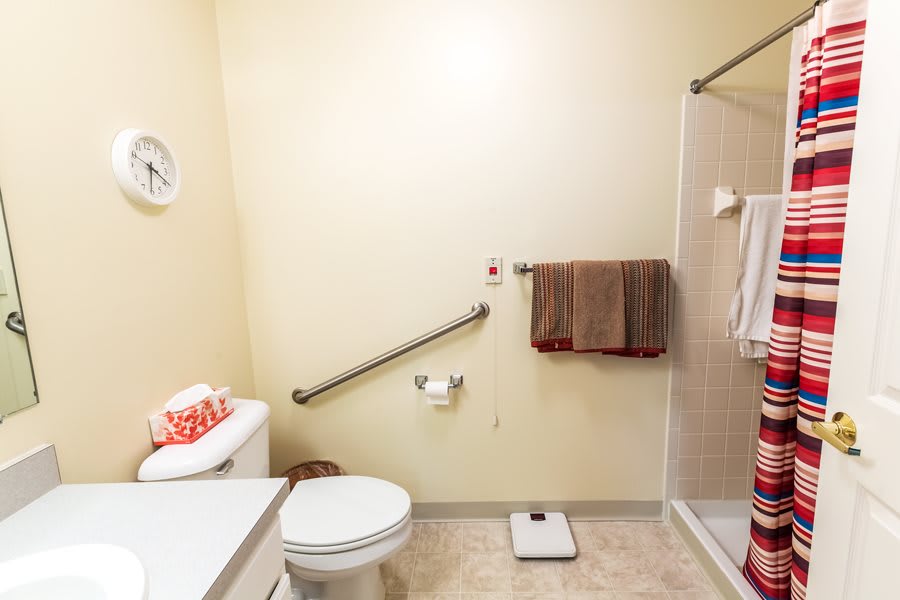 A bathroom with a shower, toilet, and safety features.