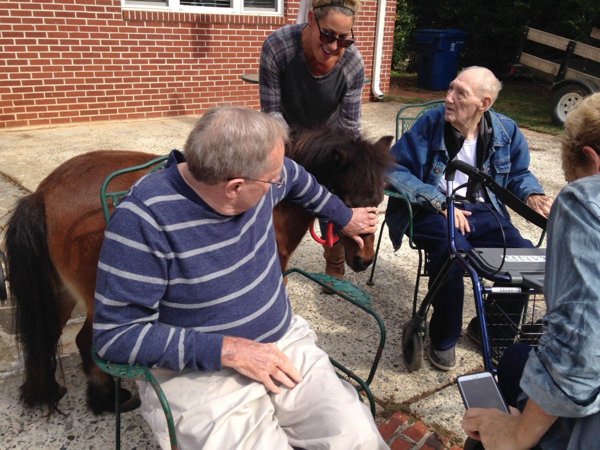 Elderly individuals interacting with a mini horse outdoors.