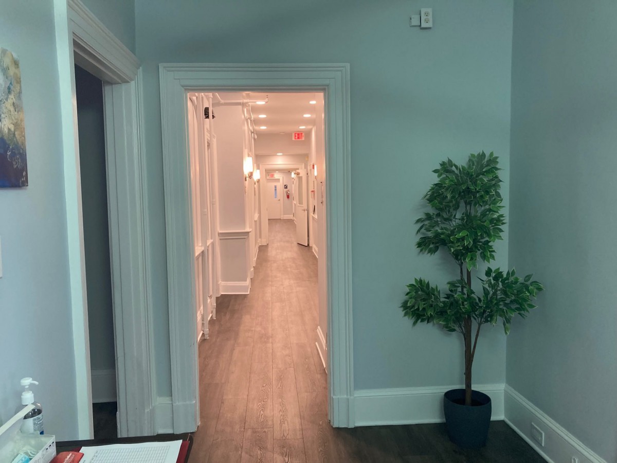 A long hallway with wooden flooring and a potted plant by the doorway.