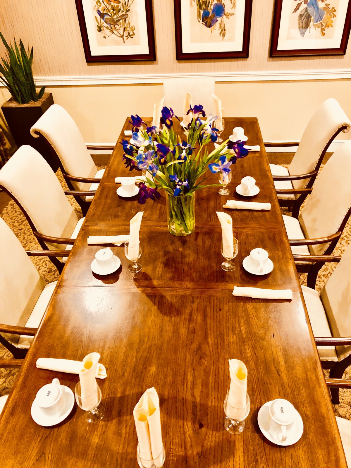 Castlewood Senior Living
