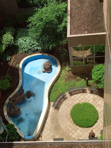 A serene aerial view of a curvy swimming pool surrounded by lush greenery and a cozy seating area.