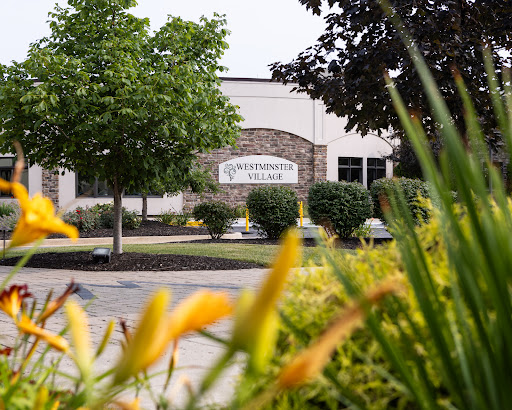A view of a landscaped area featuring flowers and trees in front of a building.
