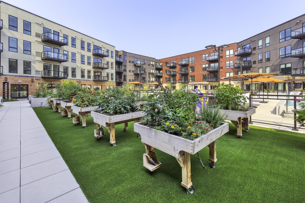 An urban rooftop garden with raised beds surrounded by apartment buildings.