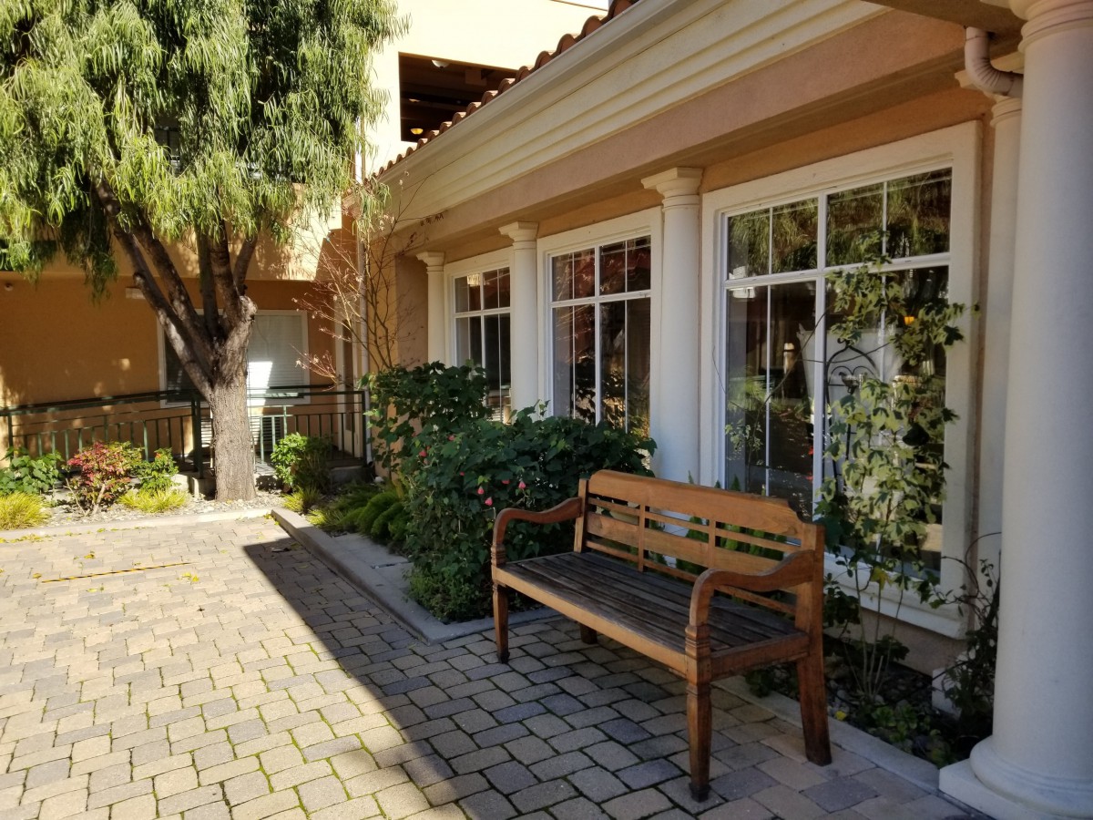 A sunny outdoor area with a wooden bench and garden, next to a building with large windows.