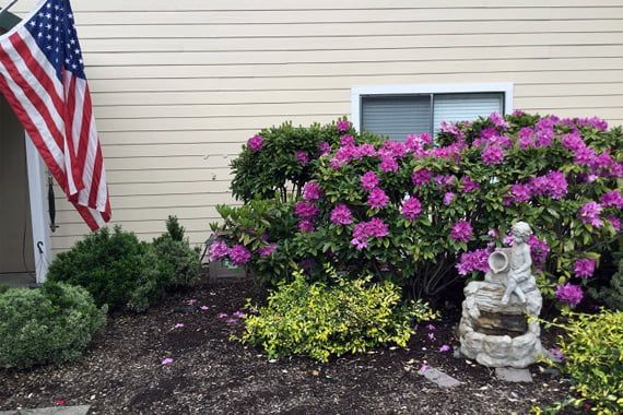 A well-maintained garden with blooming pink flowers and landscaping in front of a house.
